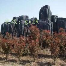 ָ