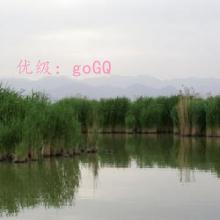 ȫ