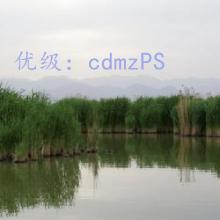 ζ