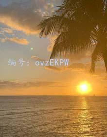 ζ