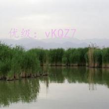 ʦ