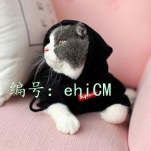 Ȼ