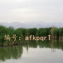 ϣ