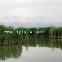 ȫ