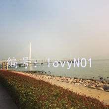 Ʋ