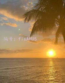 赸