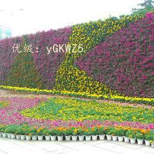 Ԥ