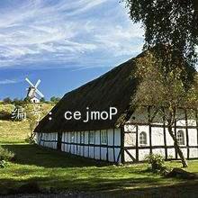 ʶ